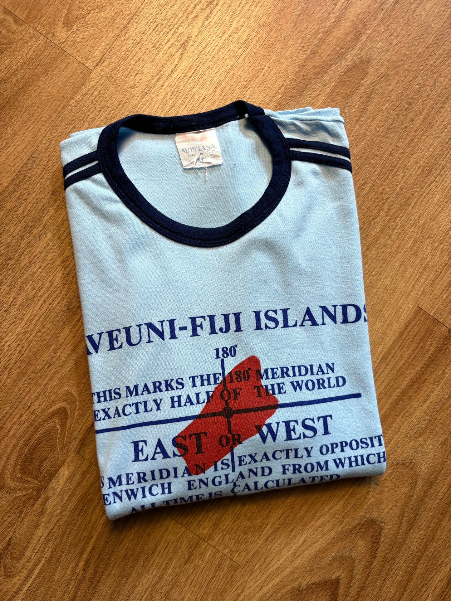 Vintage 90s Baby Blue Graphic Ringer Top (XL)
